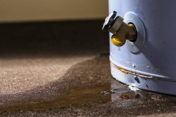 Best Flooded house restoration  in Billington Heights, NY