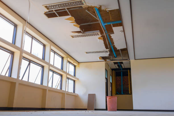Best 24-hour water damage restoration  in Billington Heights, NY