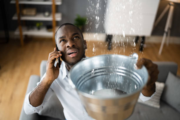 Best Sewage cleanup and water damage restoration  in Billington Heights, NY