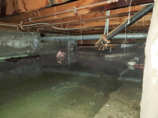 Local water damage restoration in Billington Heights, NY
