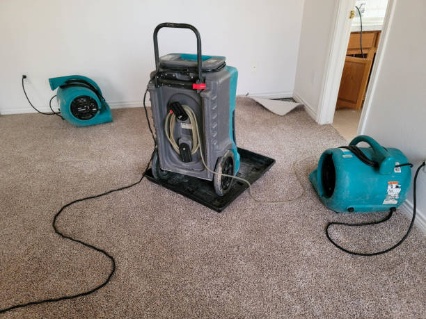 Best Fire Damage Restoration  in Billington Heights, NY
