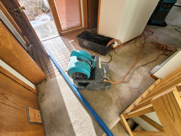 Best Ceiling water damage repair  in Billington Heights, NY