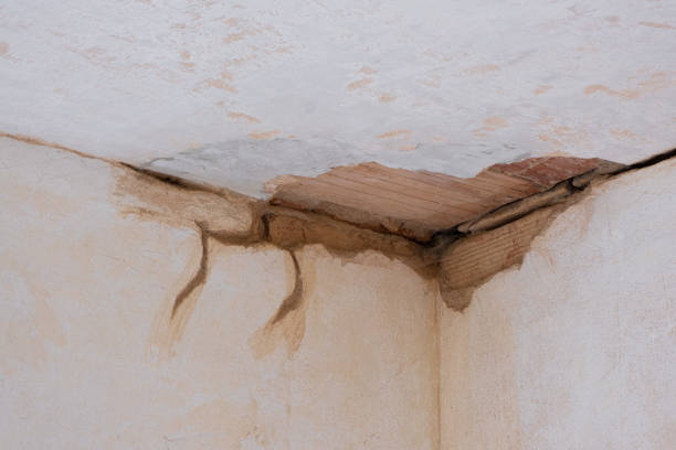 Billington Heights, NY Water damage restoration Company